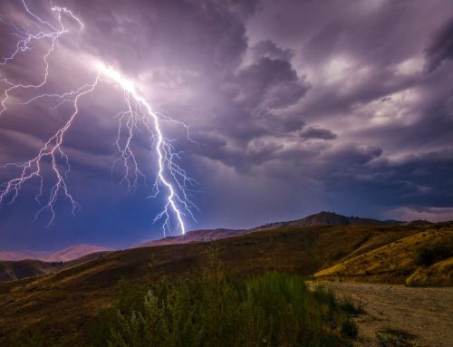 Turning Stress, Stagnation, and Adversity into Fuel for Growth